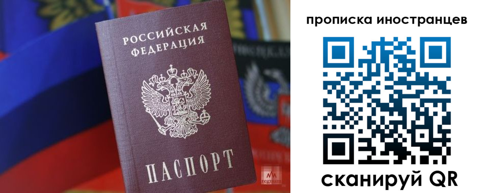 прописка законно в Химках
